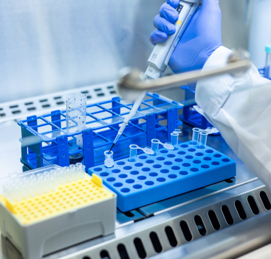 Technicien en laboratoire de biosécurité de niveau 2 (BSL-2) illustrant l'adaptabilité des laboratoires modulaires Kum Concept