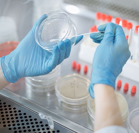 Laboratoire microbiologique Kum Concept : zones propres et confinement pour analyses de contamination et de culture microbienne